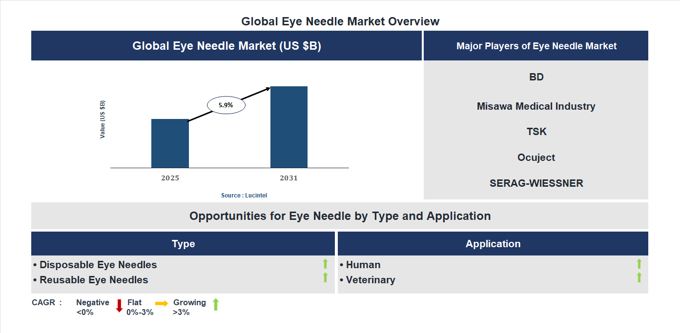 Eye Needle Market Trends and Forecast